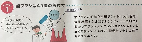 健康で美しい歯の為の歯磨きテクニック
